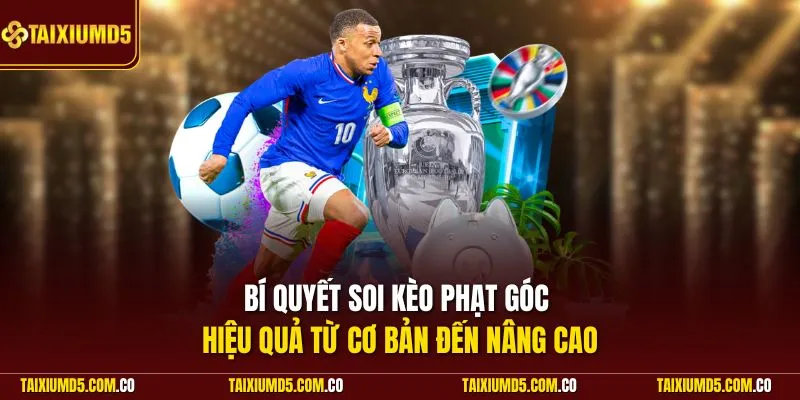 Bí quyết soi kèo phạt góc hiệu quả từ cơ bản đến nâng cao
