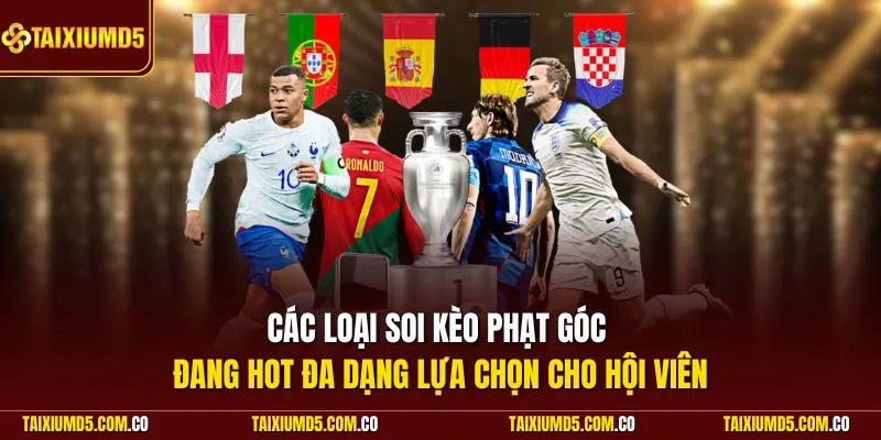 Các loại soi kèo phạt góc đang hot đa dạng lựa chọn cho hội viên
