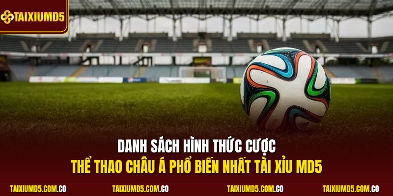 Danh sách hình thức cược thể thao châu Á phổ biến nhất Tài Xỉu MD5