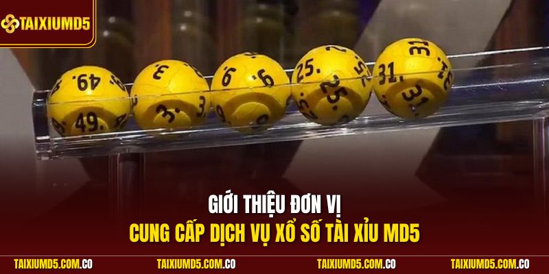 Giới thiệu sơ lược chuyên mục lô đề Tài Xỉu MD5