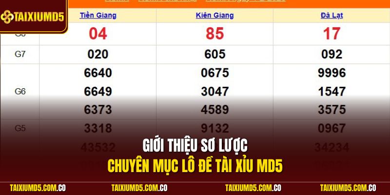 Giới thiệu đơn vị cung cấp dịch vụ xổ số Tài Xỉu MD5 chất lượng nhất 