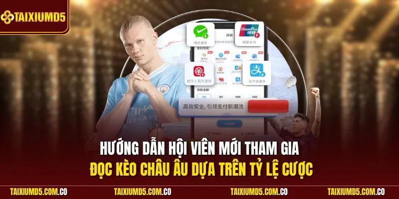 Hướng dẫn hội viên mới tham gia đọc kèo châu Âu dựa trên tỷ lệ cược