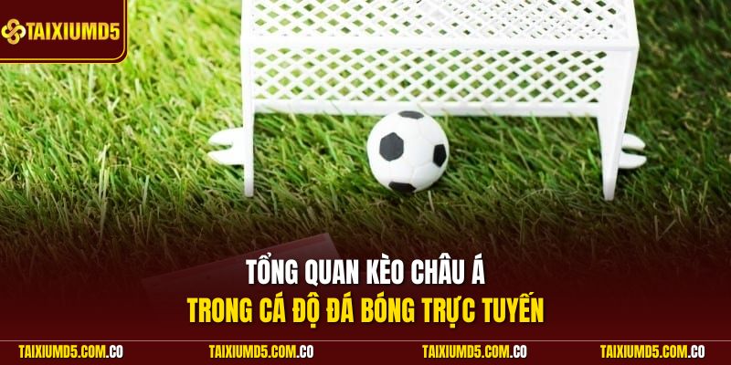 Tổng quan kèo châu Á trong cá độ đá bóng trực tuyến