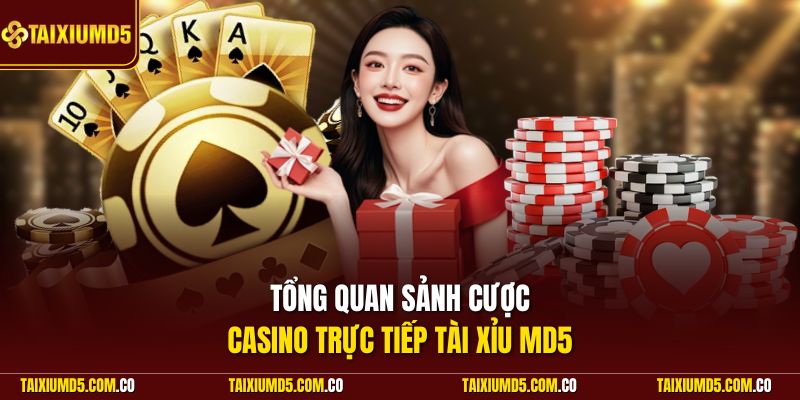 Tổng quan sảnh cược casino trực tiếp Tài Xỉu MD5
