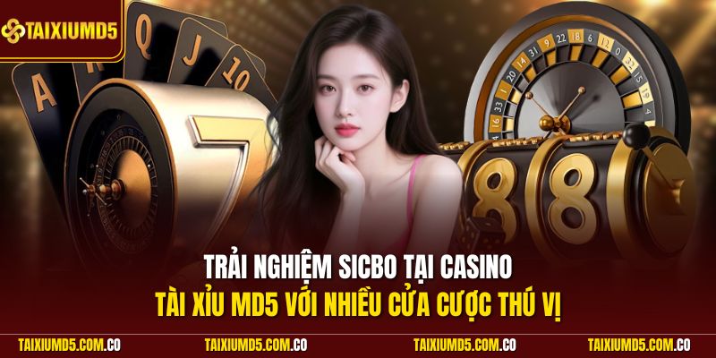 Trải nghiệm Sicbo tại casino Tài Xỉu MD5 với nhiều cửa cược thú vị